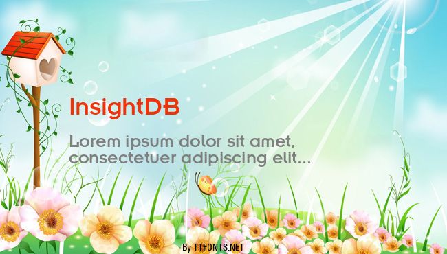 InsightDB example