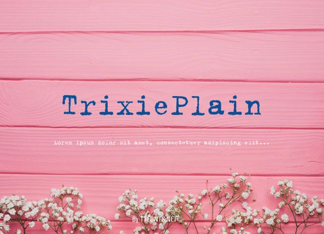 TrixiePlain example