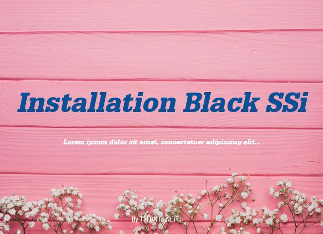 Installation Black SSi example