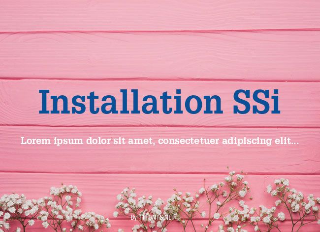 Installation SSi example