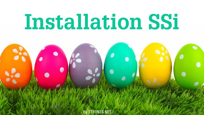 Installation SSi example