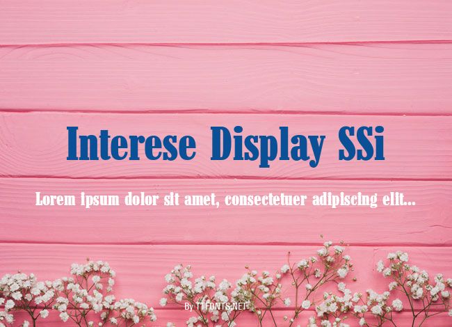 Interese Display SSi example