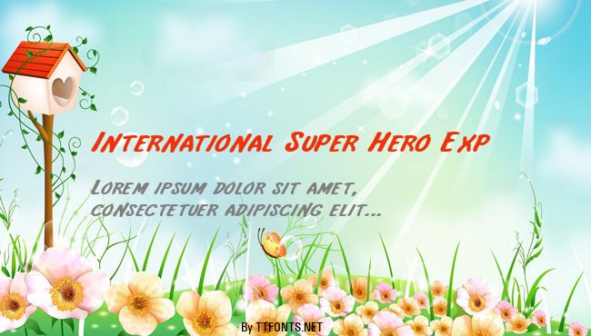 International Super Hero Exp example