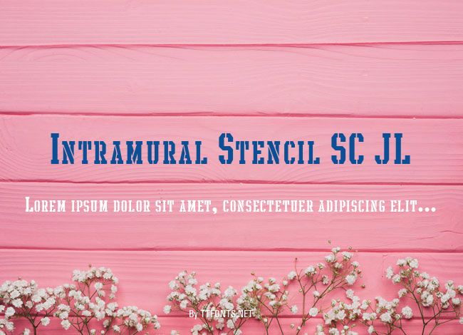 Intramural Stencil SC JL example