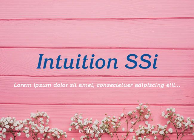 Intuition SSi example