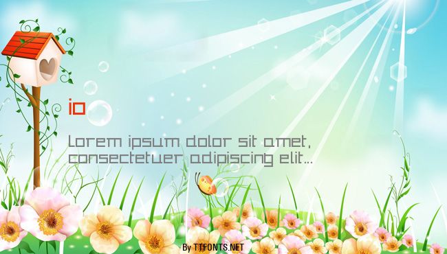 io example