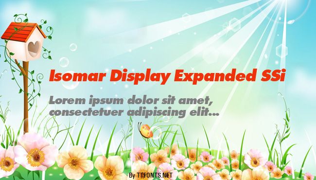 Isomar Display Expanded SSi example