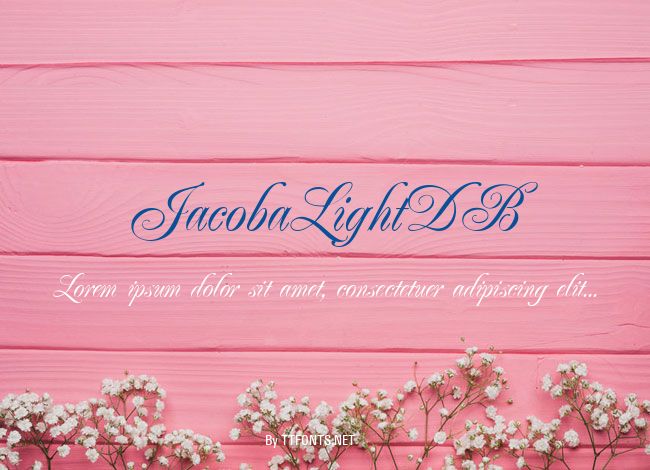 JacobaLightDB example