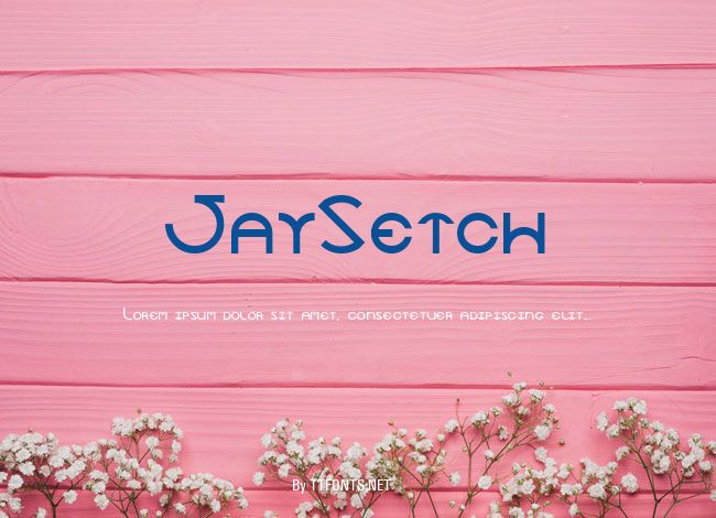 JaySetch example