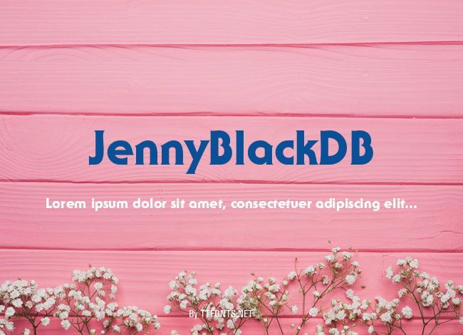 JennyBlackDB example