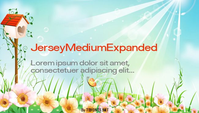 JerseyMediumExpanded example