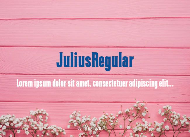 JuliusRegular example
