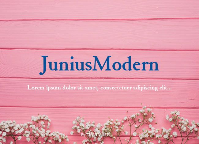 JuniusModern example