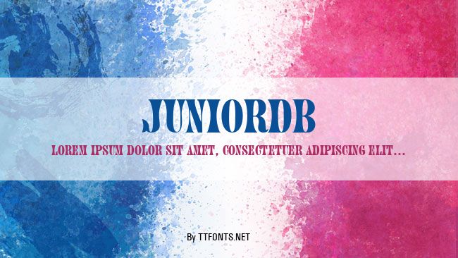 JuniorDB example
