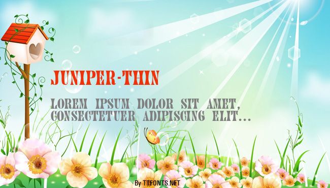 Juniper-Thin example