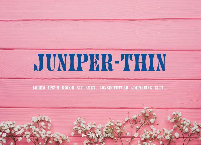 Juniper-Thin example