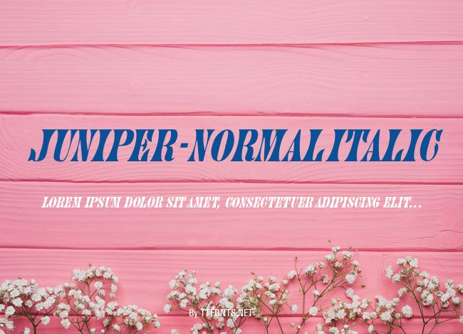 Juniper-Normal Italic example