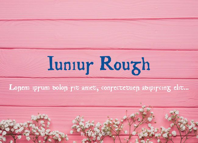 Junius Rough example