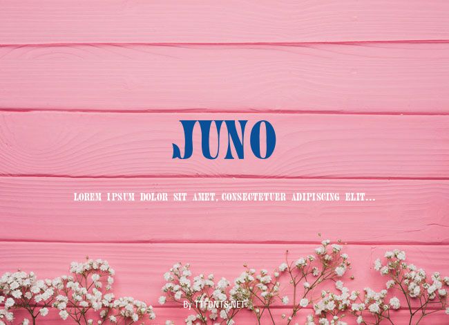 Juno example