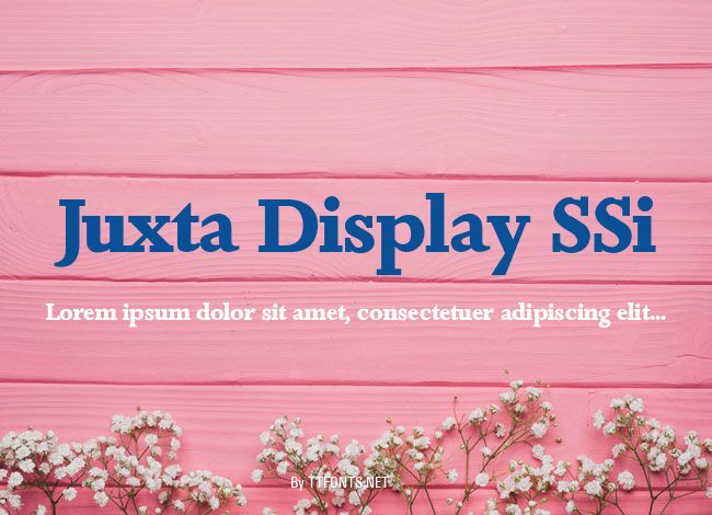 Juxta Display SSi example