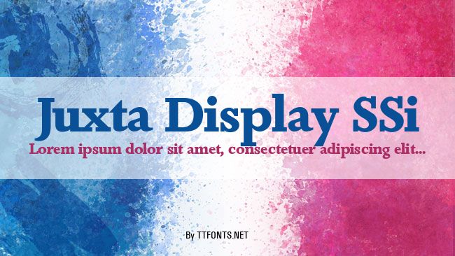 Juxta Display SSi example