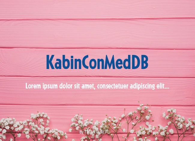 KabinConMedDB example