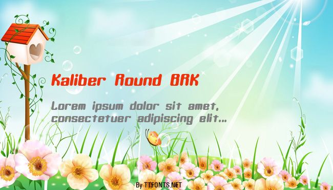 Kaliber Round BRK example