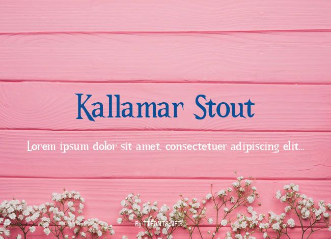 Kallamar Stout example
