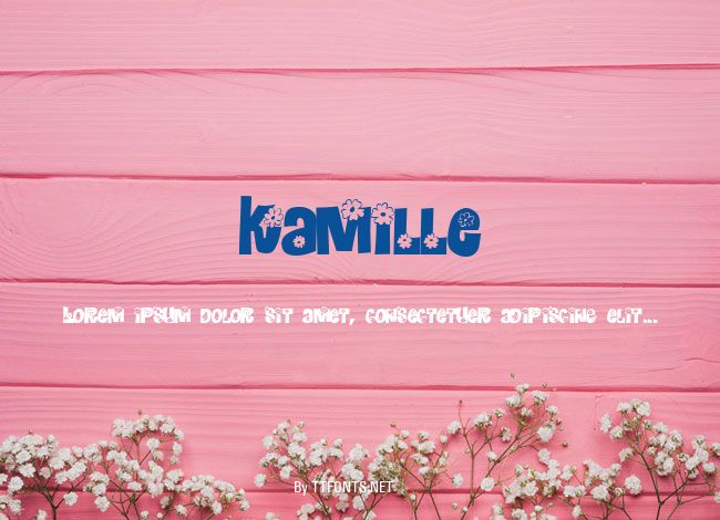 Kamille example