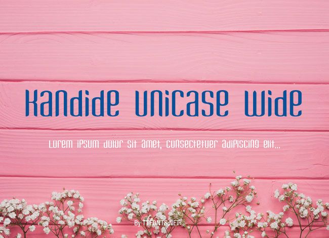 Kandide Unicase Wide example