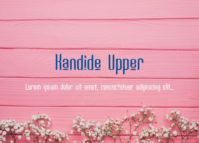 Kandide Upper example
