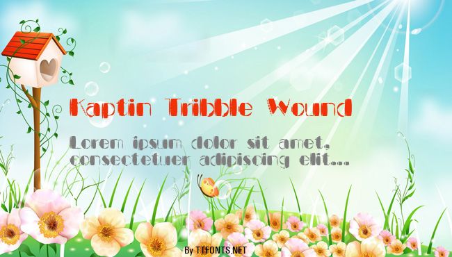 Kaptin Tribble Wound example