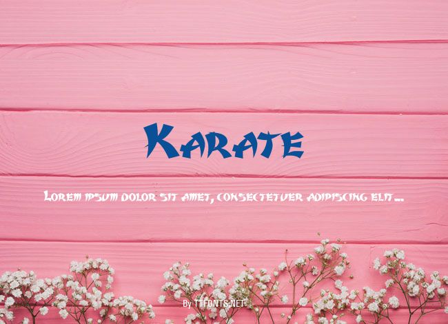 Karate example