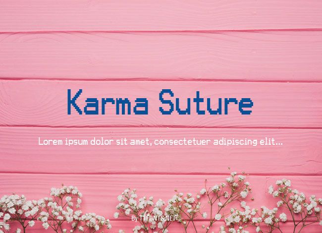 Karma Suture example