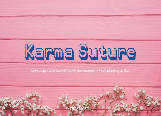 Karma Suture example