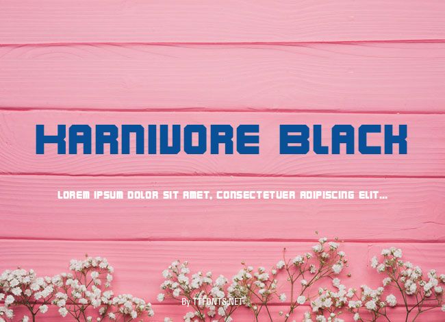 Karnivore Black example
