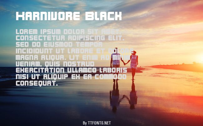 Karnivore Black example