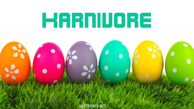 Karnivore example