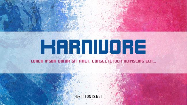 Karnivore example