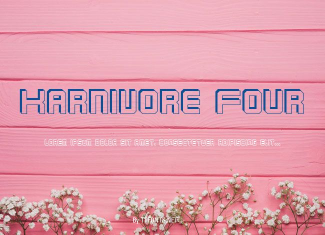 Karnivore Four example