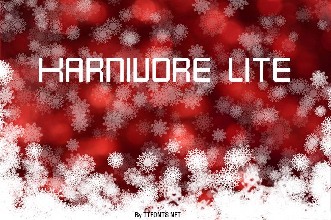 Karnivore Lite example