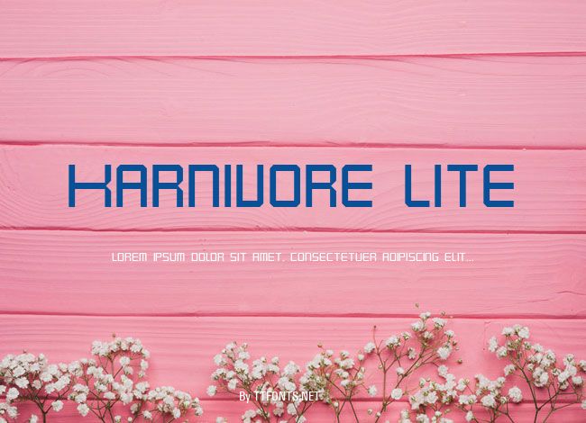 Karnivore Lite example