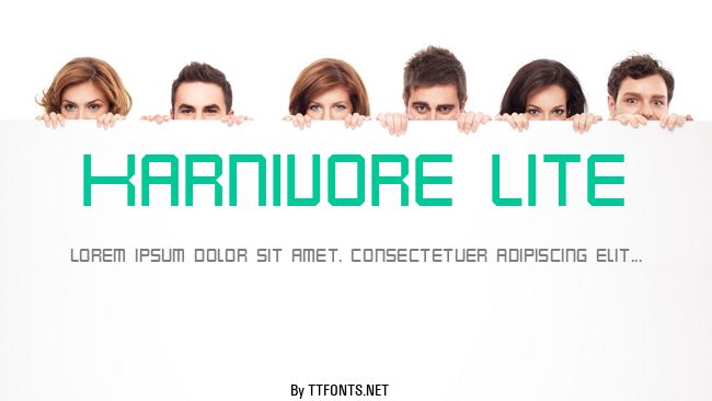 Karnivore Lite example