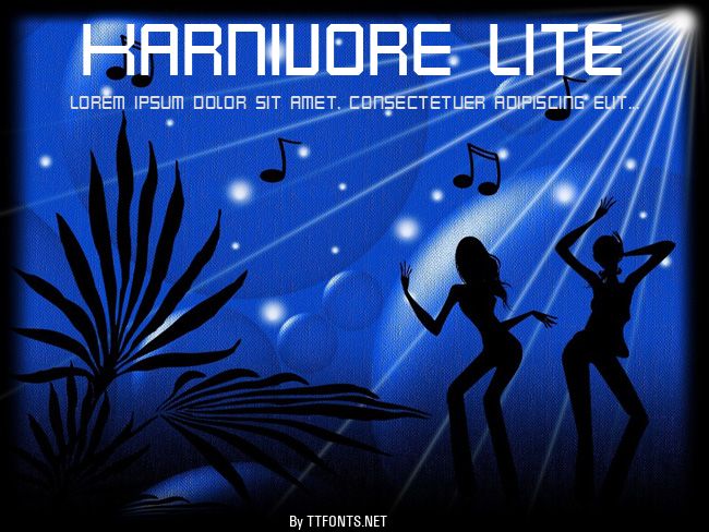Karnivore Lite example