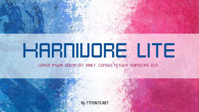 Karnivore Lite example