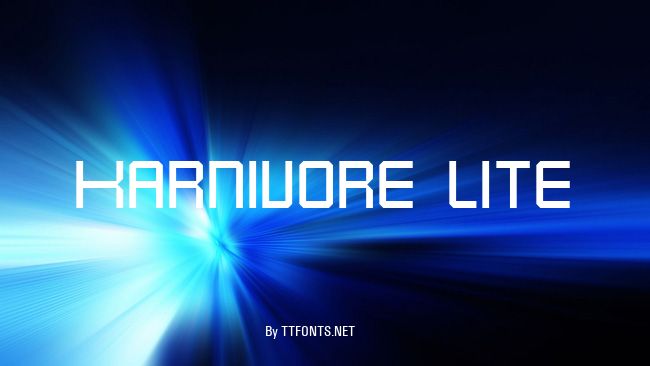 Karnivore Lite example