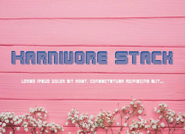 Karnivore Stack example