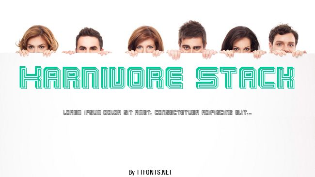 Karnivore Stack example