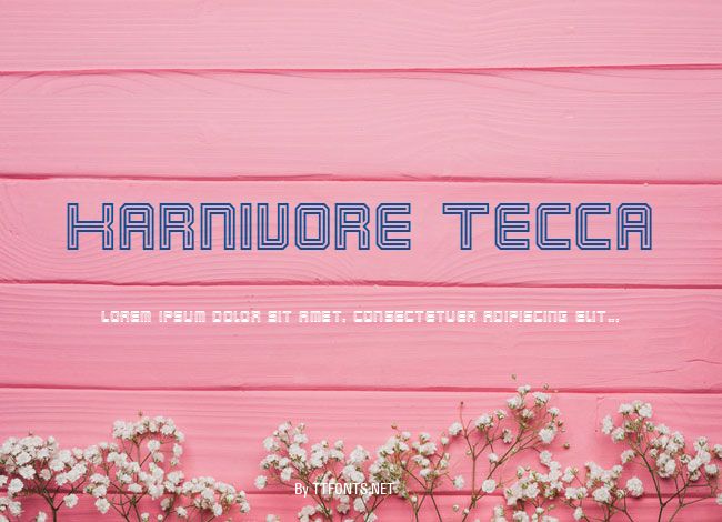 Karnivore Tecca example