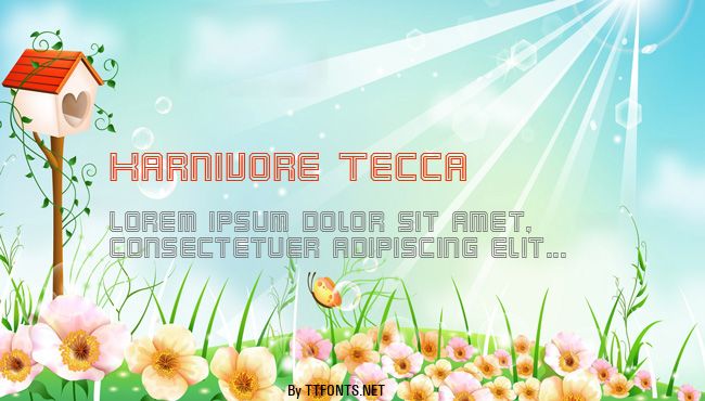 Karnivore Tecca example